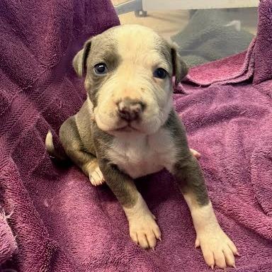 Milky Way — thumbnail 3