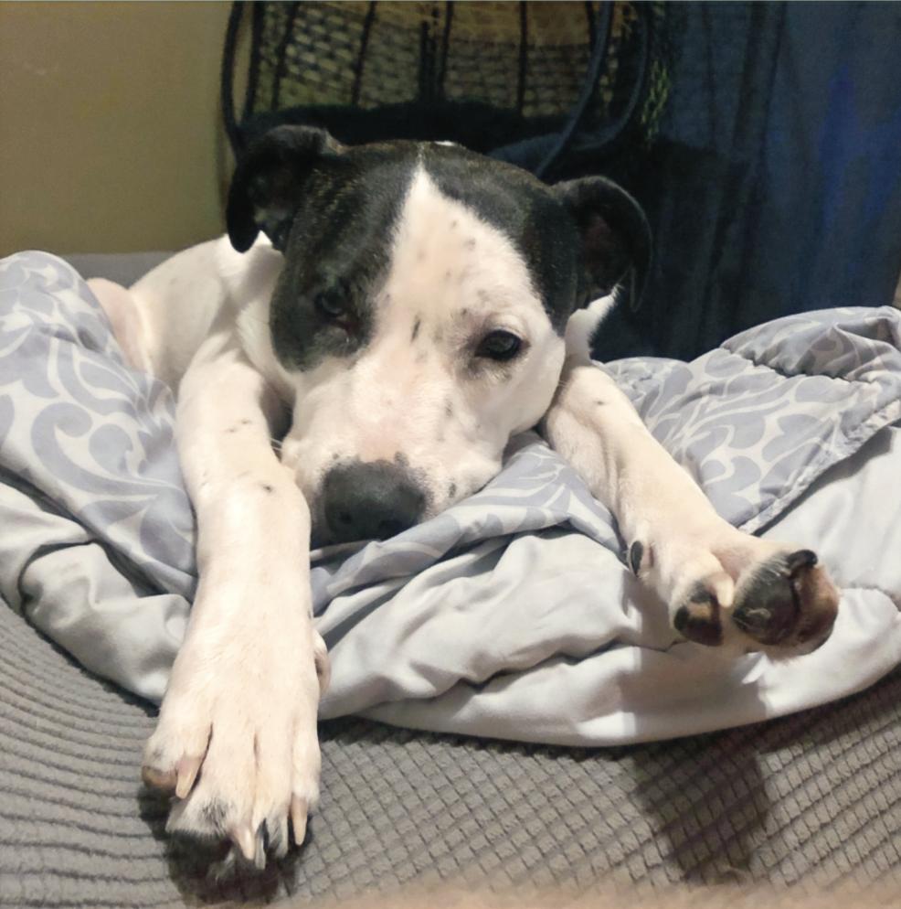 Maggie — thumbnail 2