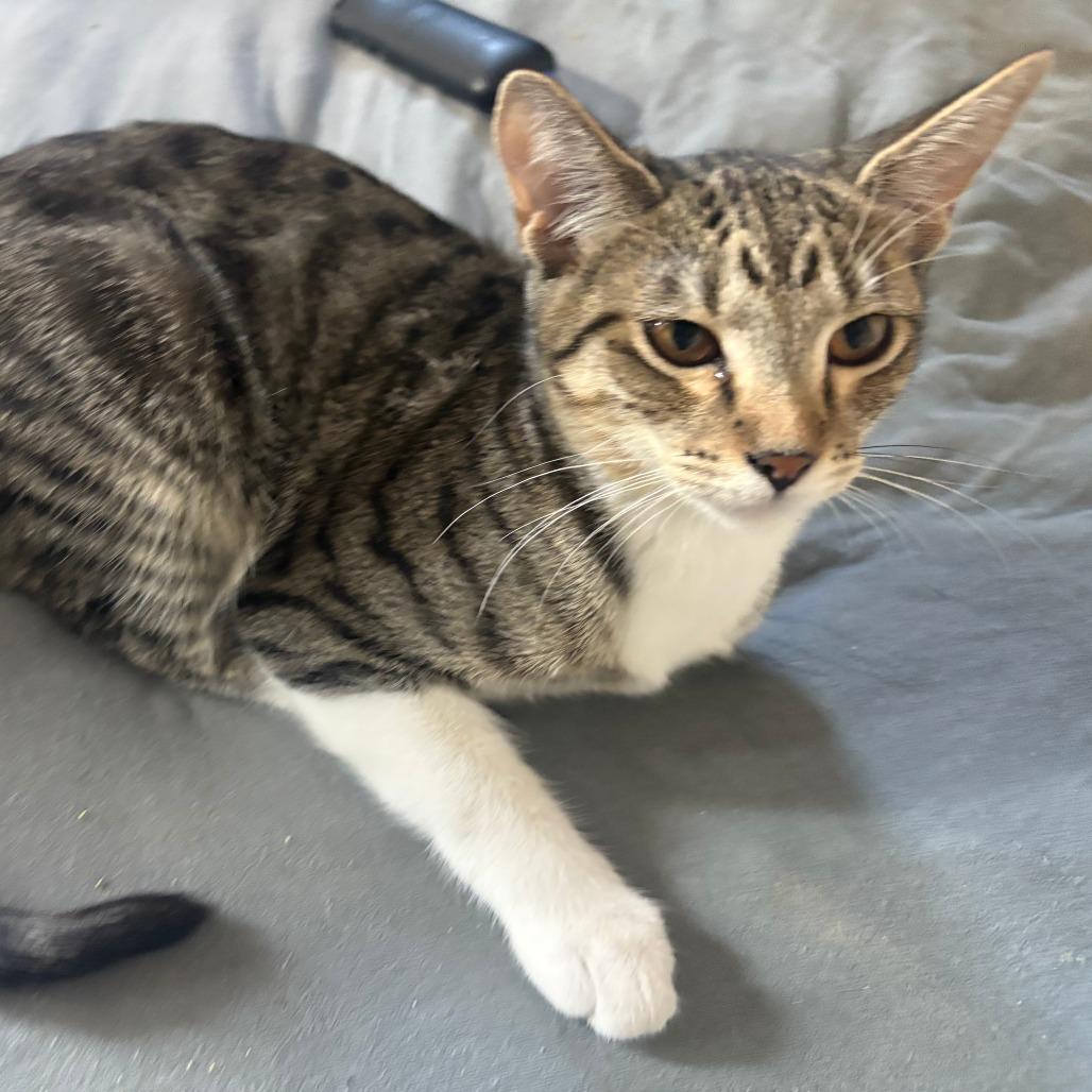 Sunny — thumbnail 2