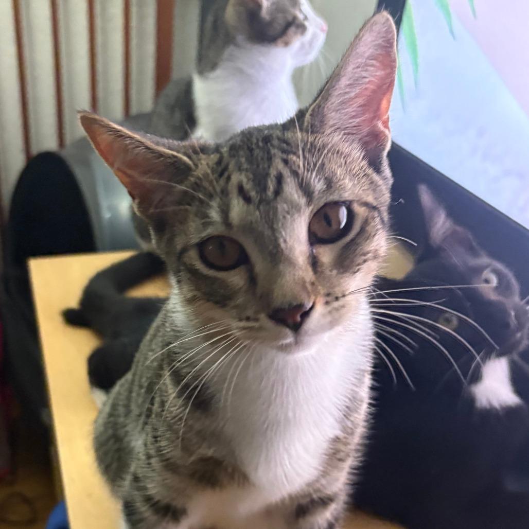 Sunny — thumbnail 3