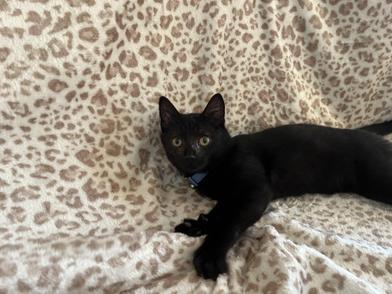 Wally — thumbnail 4