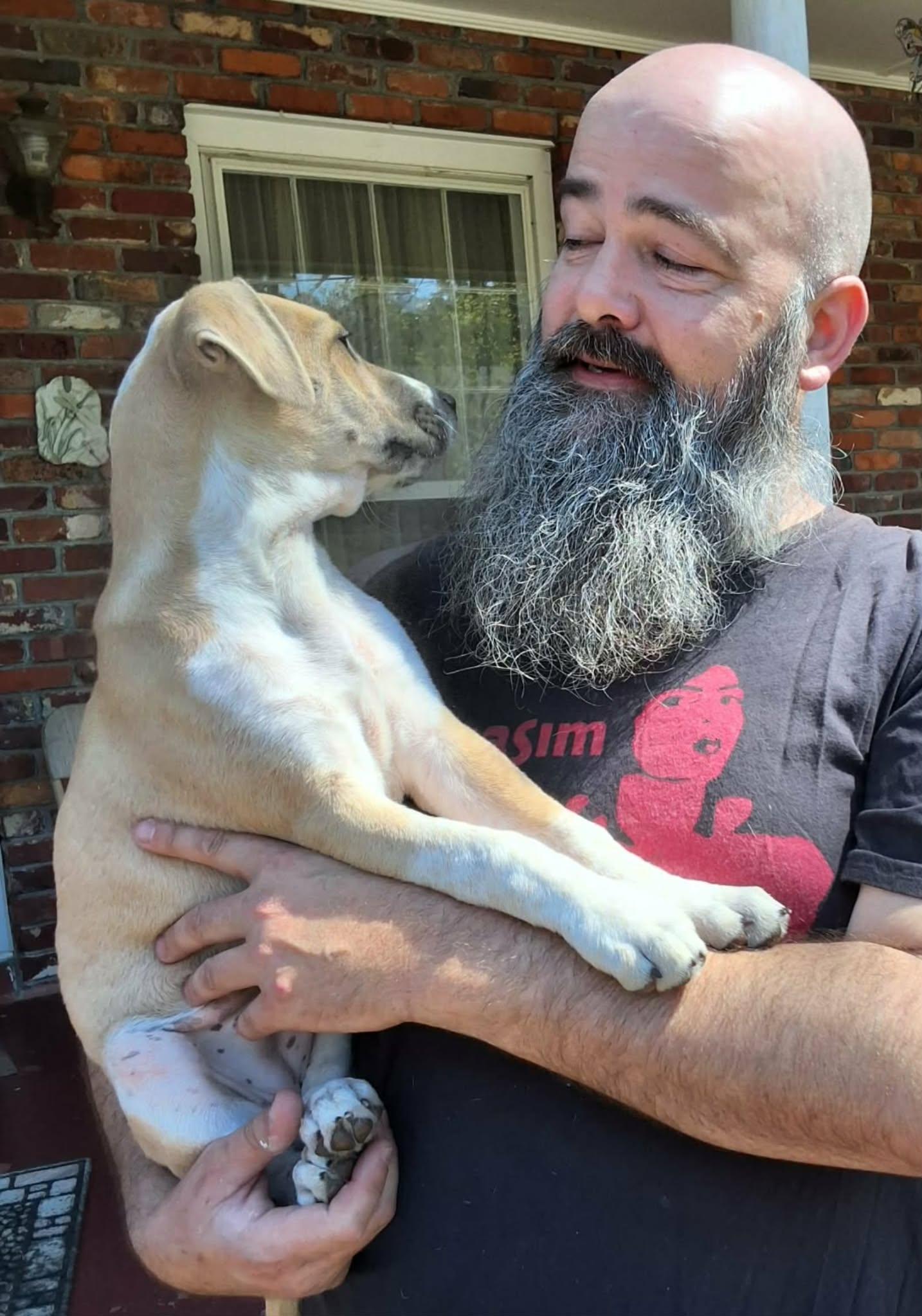 Enlarge Daisy, a Adoptable mixed breed in Alabaster, AL image 2/5