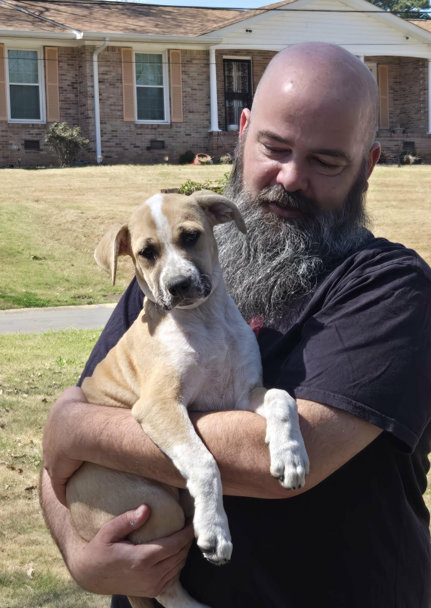 Enlarge Daisy, a Adoptable mixed breed in Alabaster, AL image 1/5