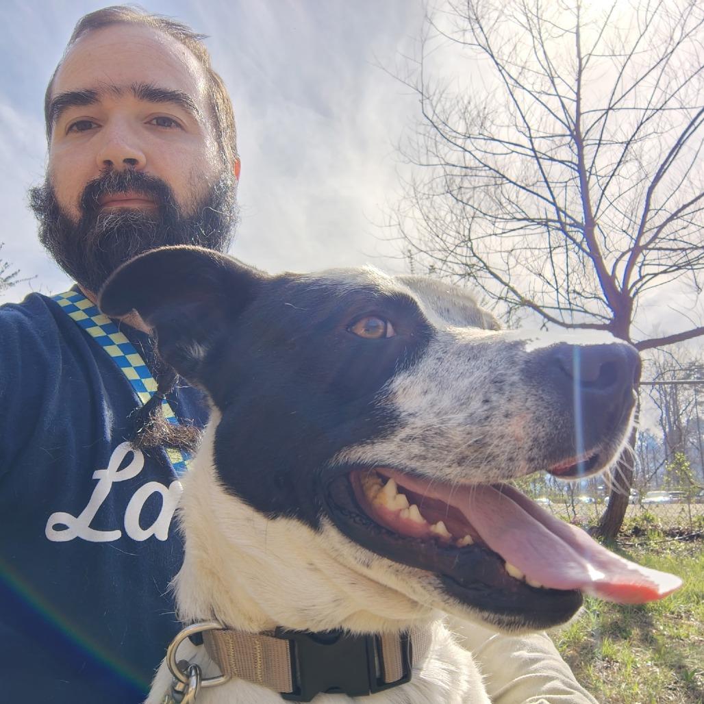 Enlarge Bo-Jack, a Adoptable mixed breed in Evensville, TN image 4/4