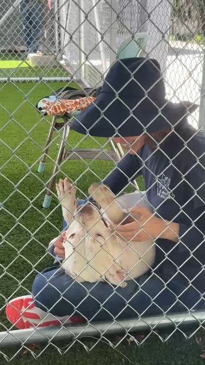 Enlarge Fortune, an adopted mixed breed in Sierra Madre, CA video 4/5