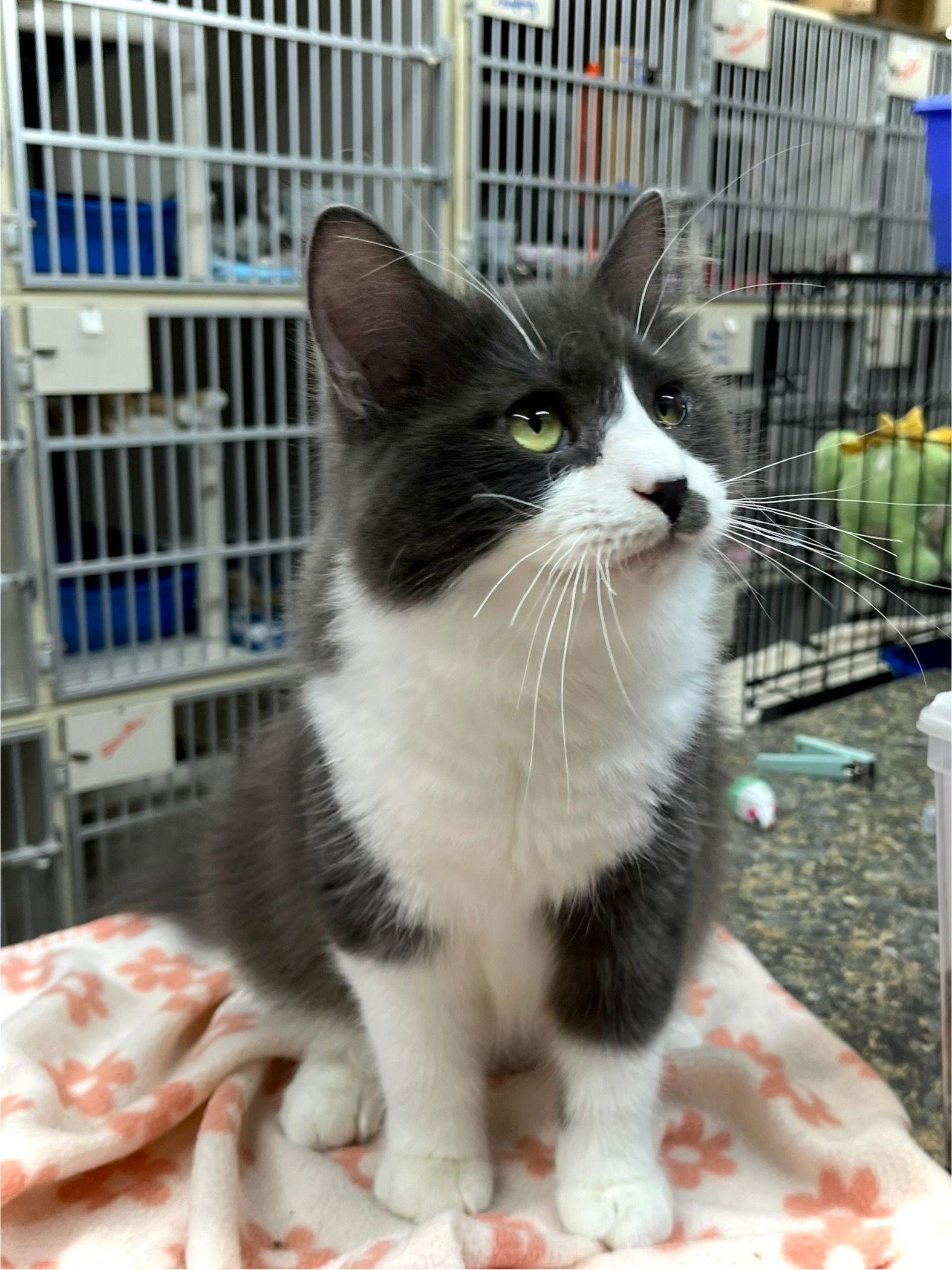 Rylo — thumbnail 2