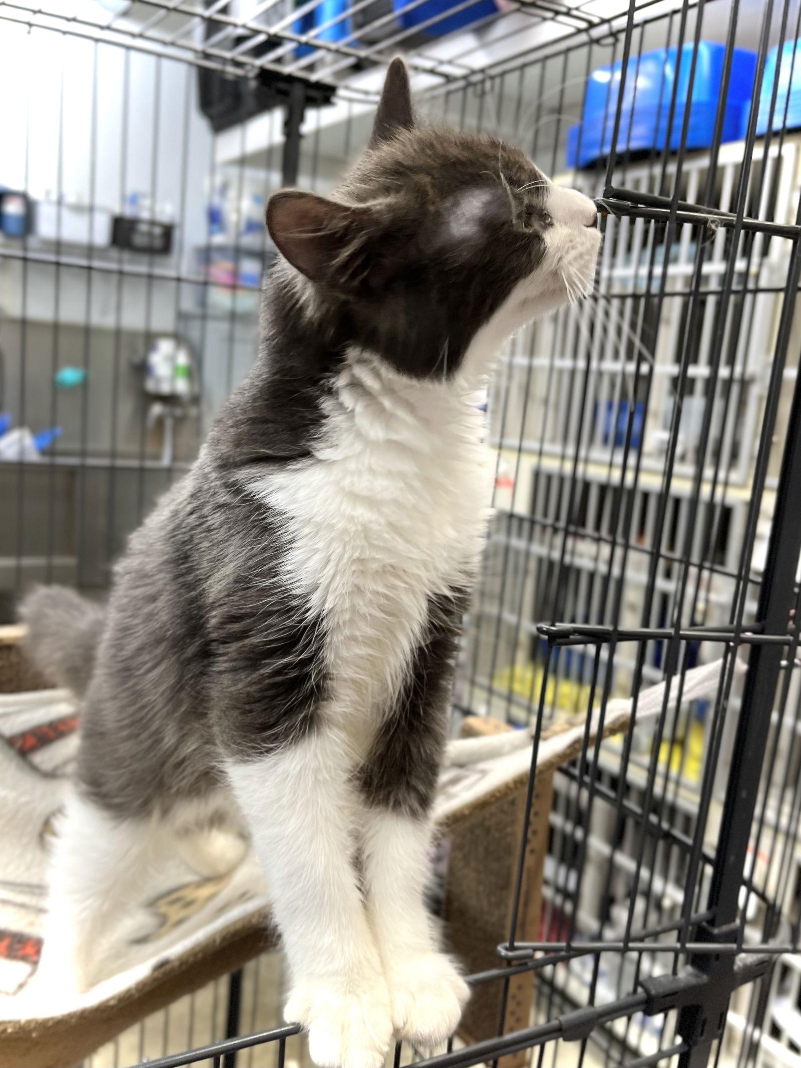 Rylo — thumbnail 3