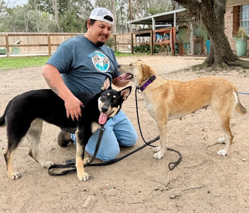 Lentil Lou The Loving Little Shepherd