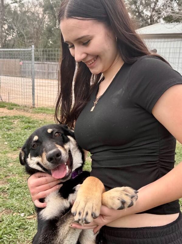 Lentil Lou The Loving Little Shepherd — thumbnail 3