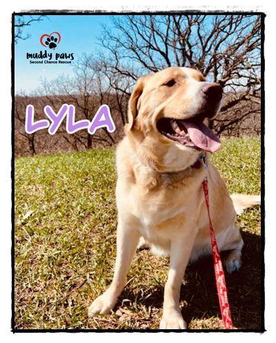 Lyla — thumbnail 4