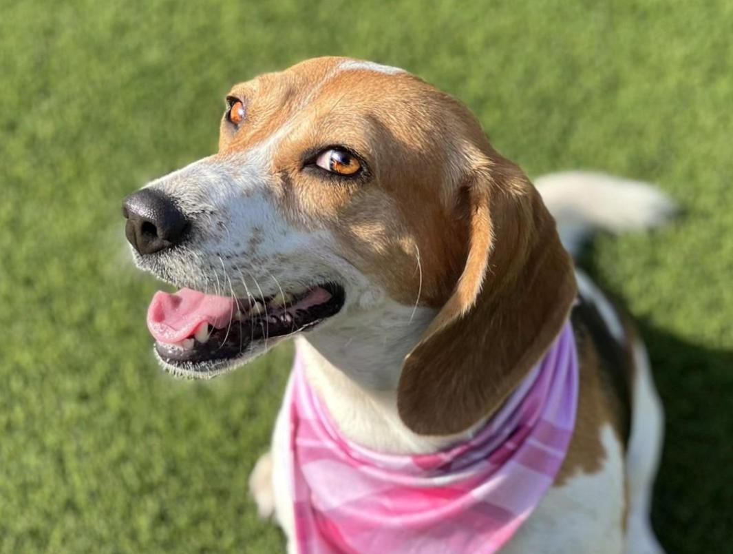Marcy-Fun loving WalMart greeter