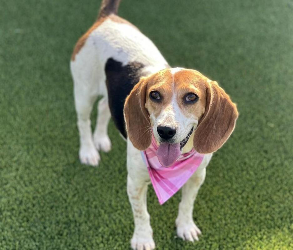 Marcy-Fun loving WalMart greeter