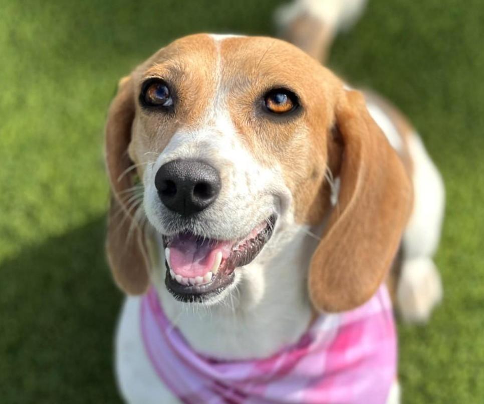 Marcy-Fun loving WalMart greeter