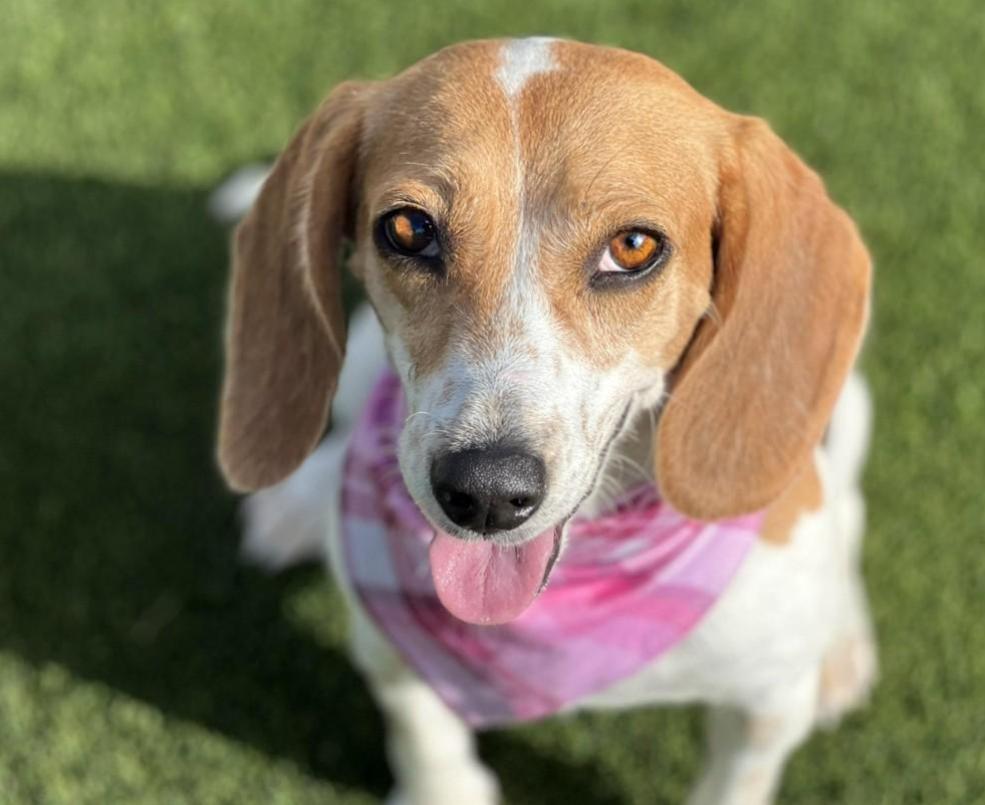 Marcy-Fun loving WalMart greeter