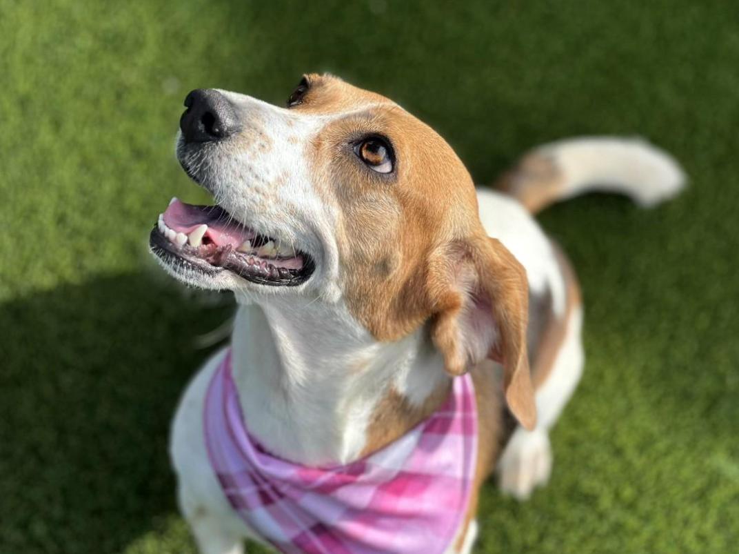 Marcy-Fun loving WalMart greeter