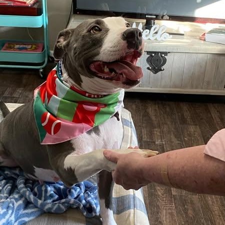 Chloe — thumbnail 2