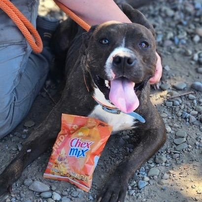 Chex