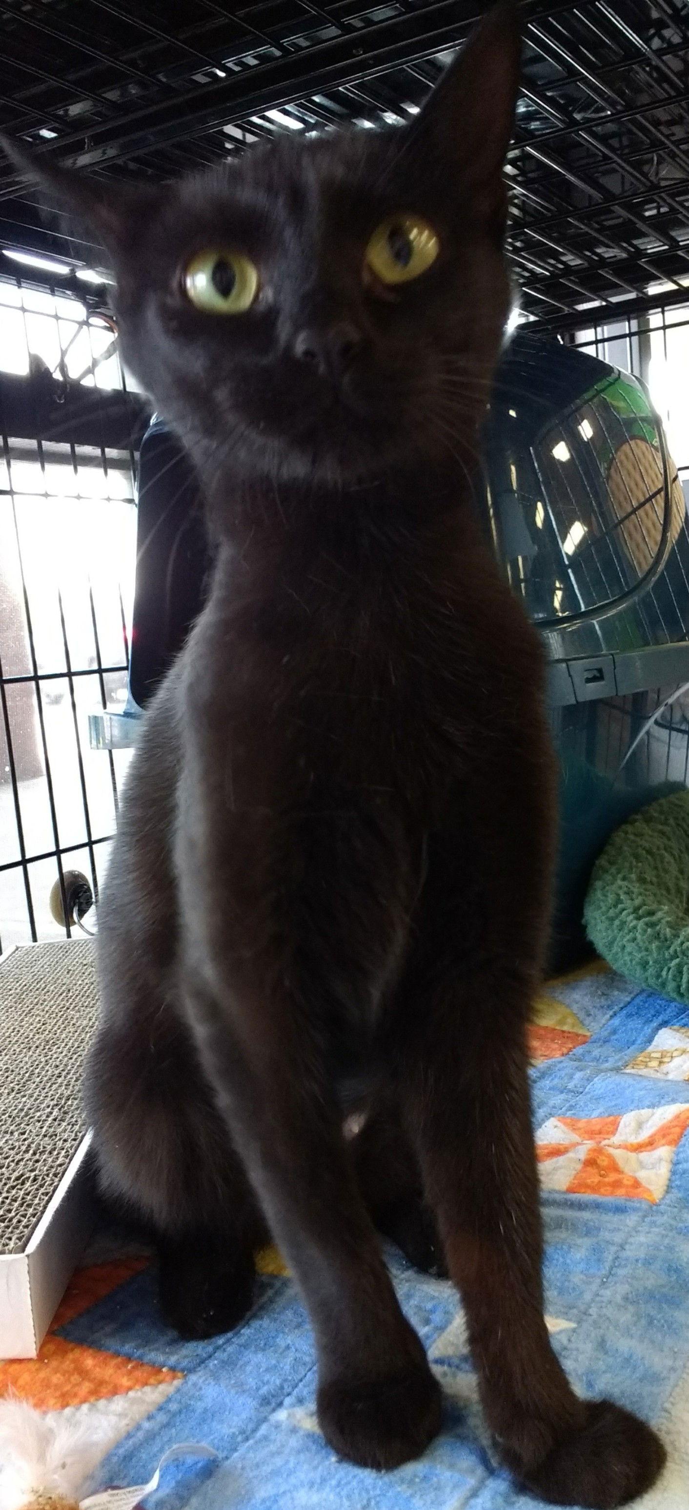 Josetta  Kbc thumbnail 2