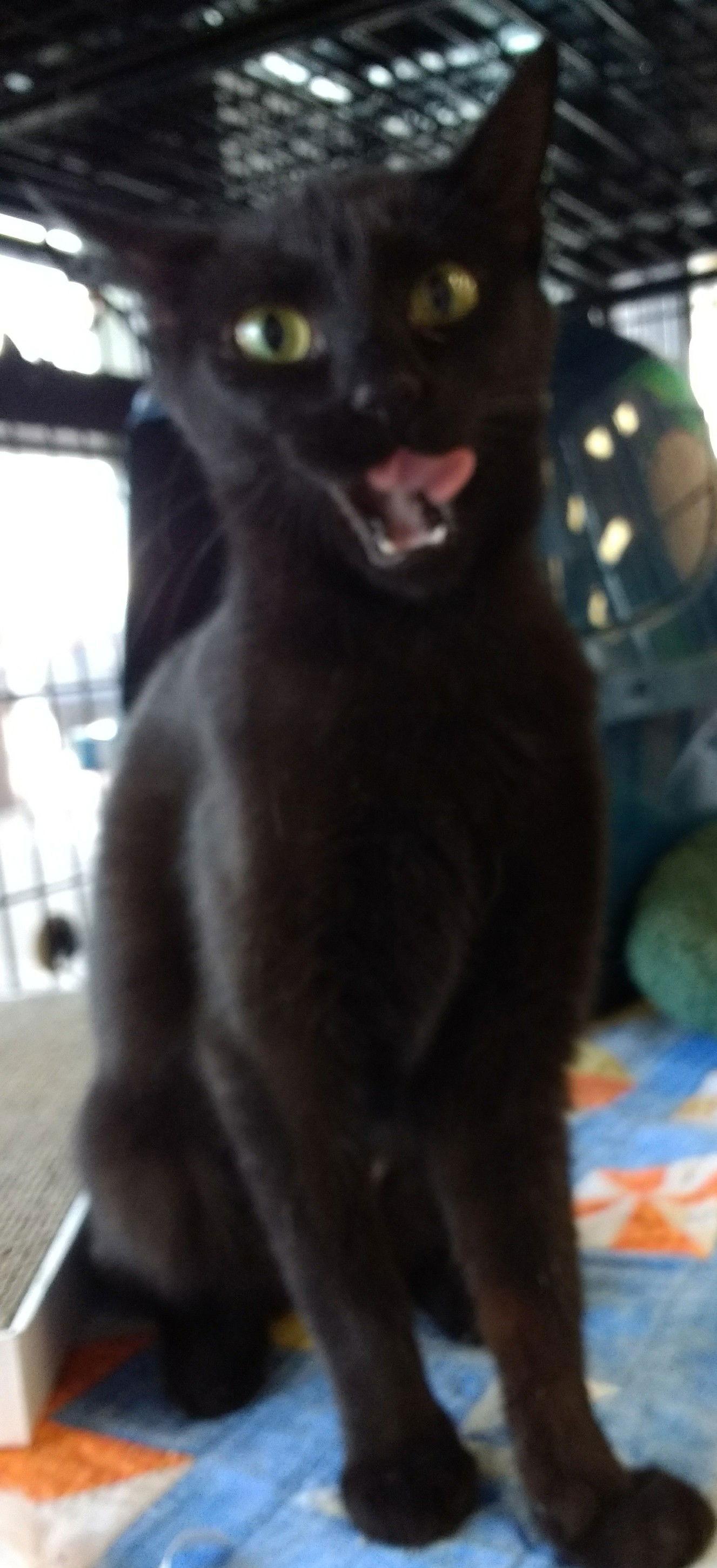 Josetta  Kbc thumbnail 3