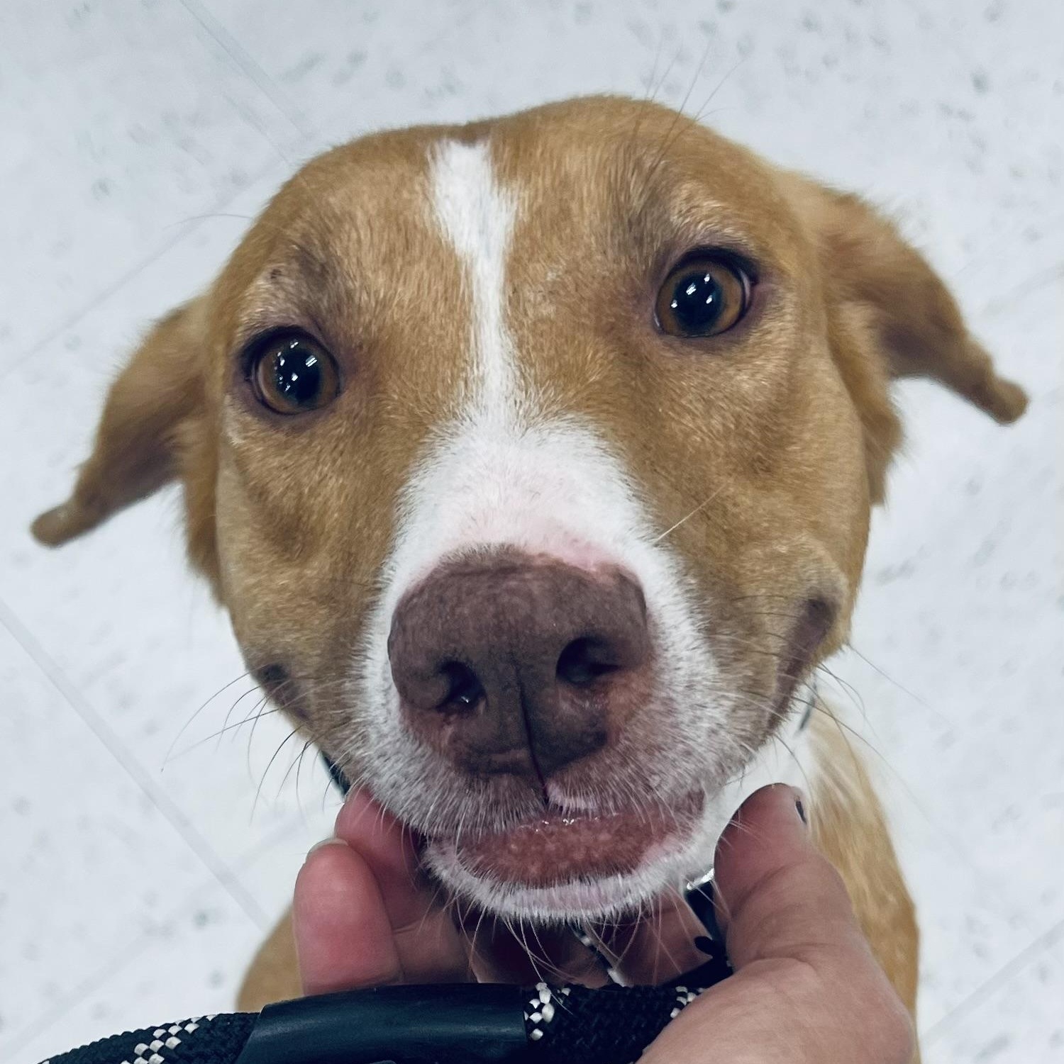 Evie! Sweetest Perfect lady!