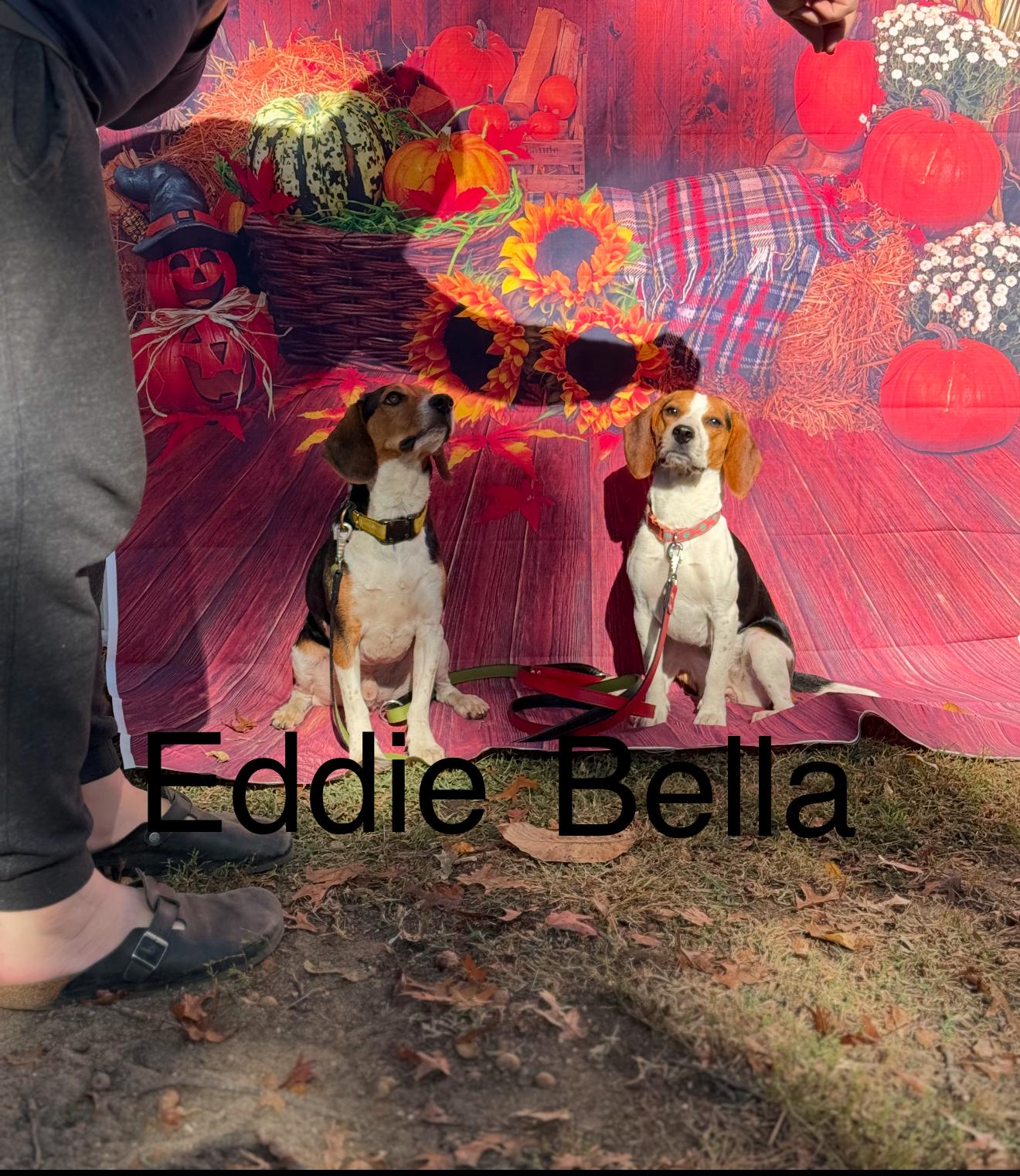 Bella (Dot) and Eddie