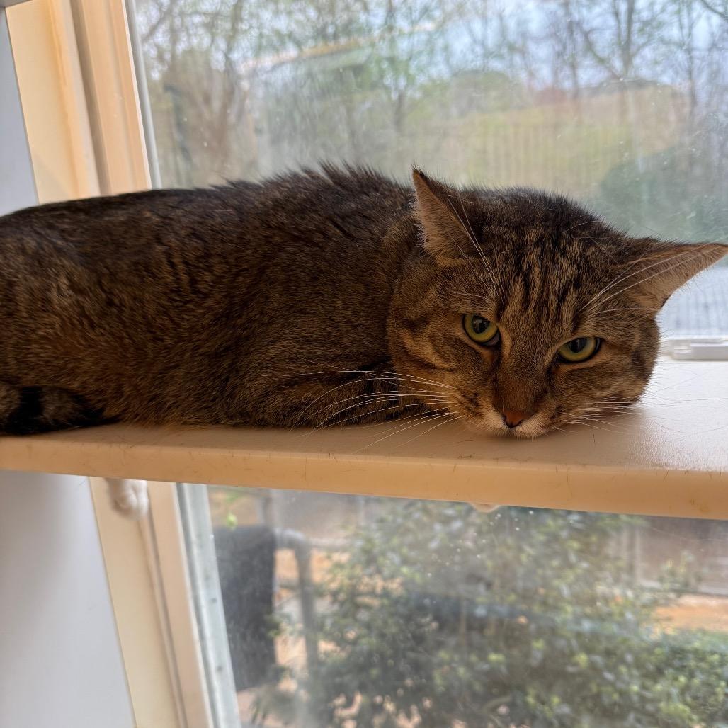 TUSC-Wildlife-83644 — thumbnail 2