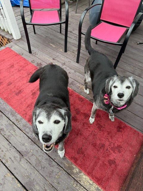 Tucker Courtesy Listing thumbnail 3