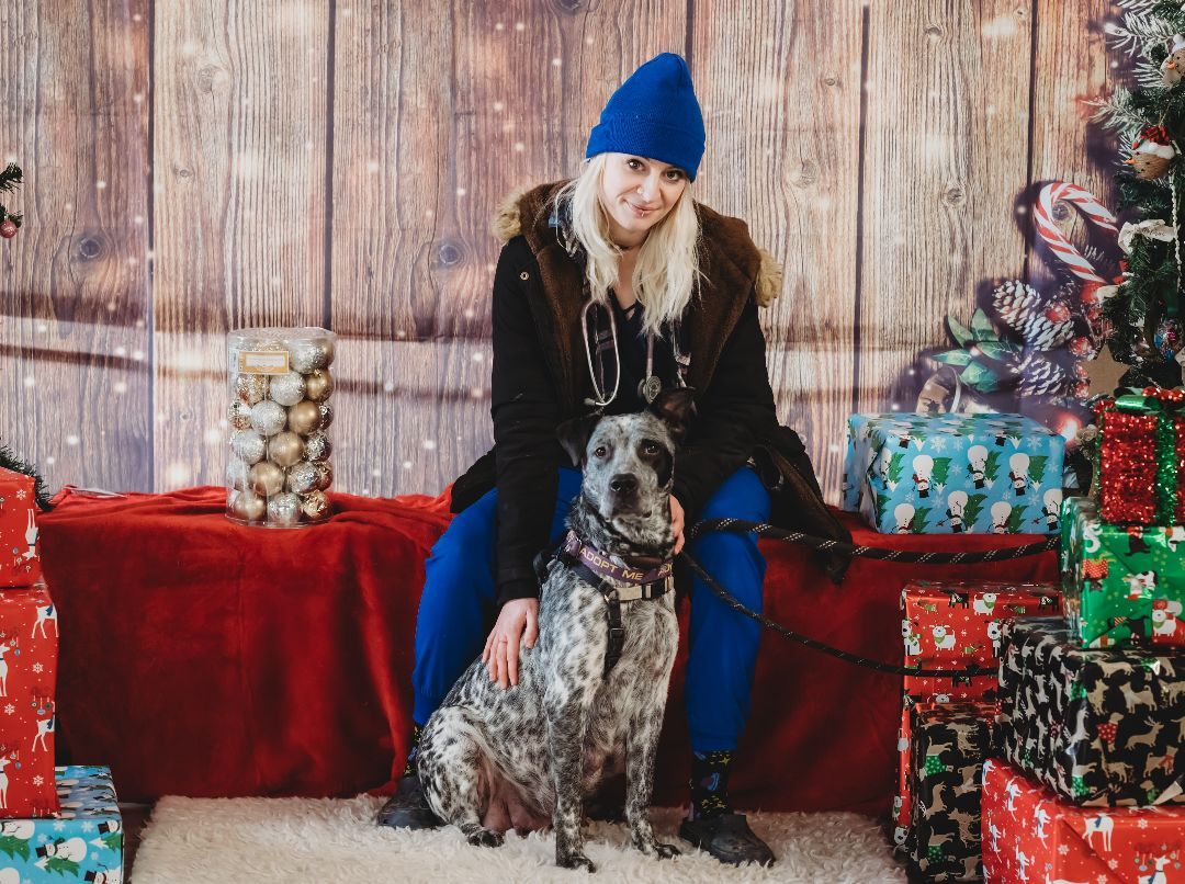 Lowla, a Adoptable mixed breed in Pueblo, CO image 3/5