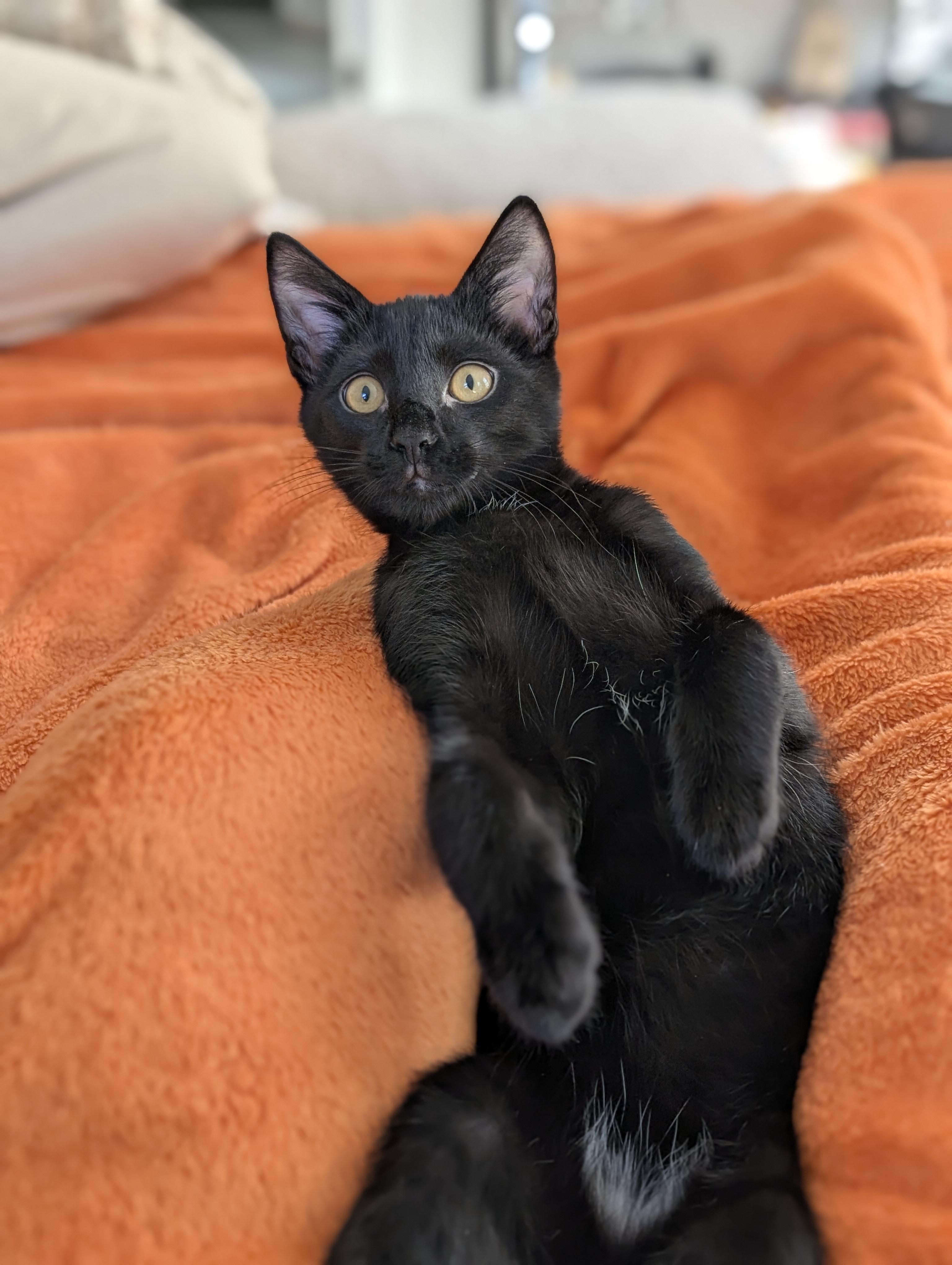 Pool Noodle, Baby Male unknown