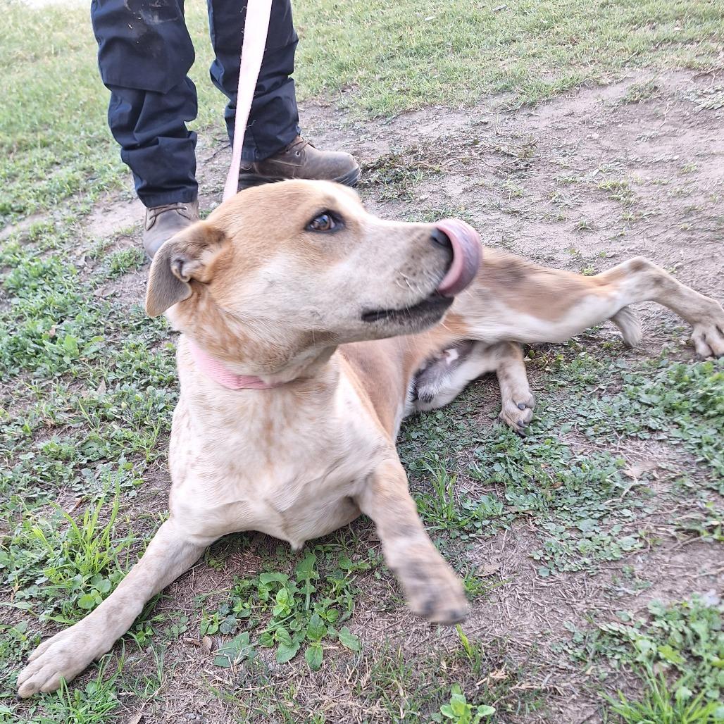 Almond Joy — thumbnail 5