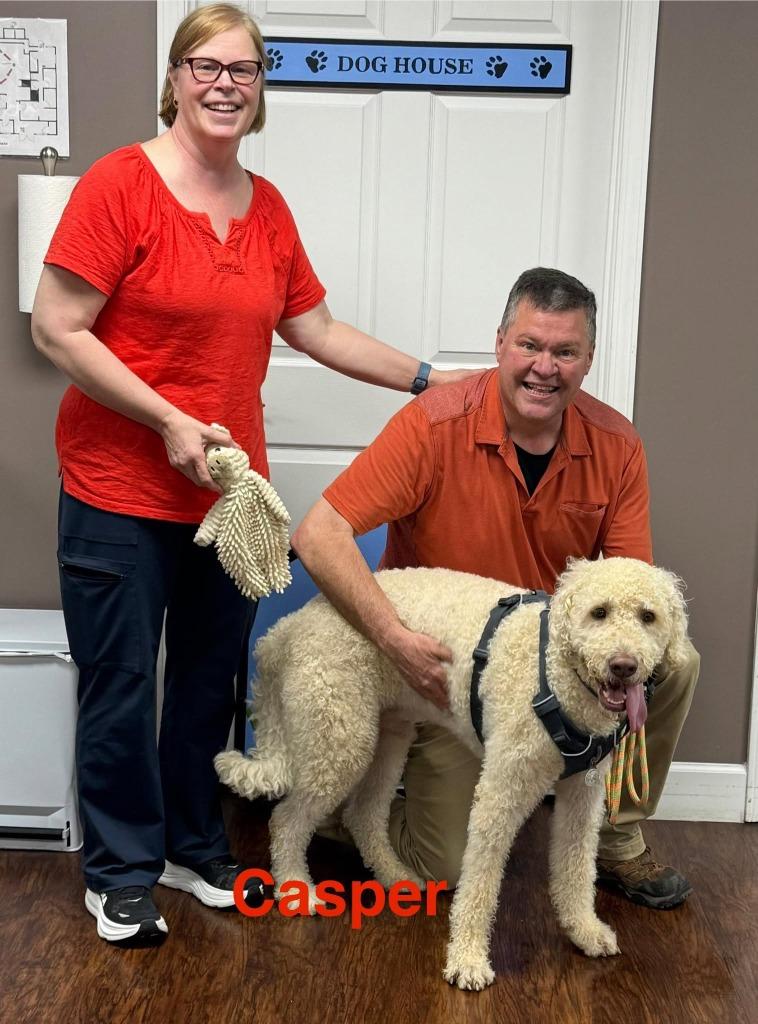 Enlarge Casper, a Adopted mixed breed in Crossville, TN image 1/6