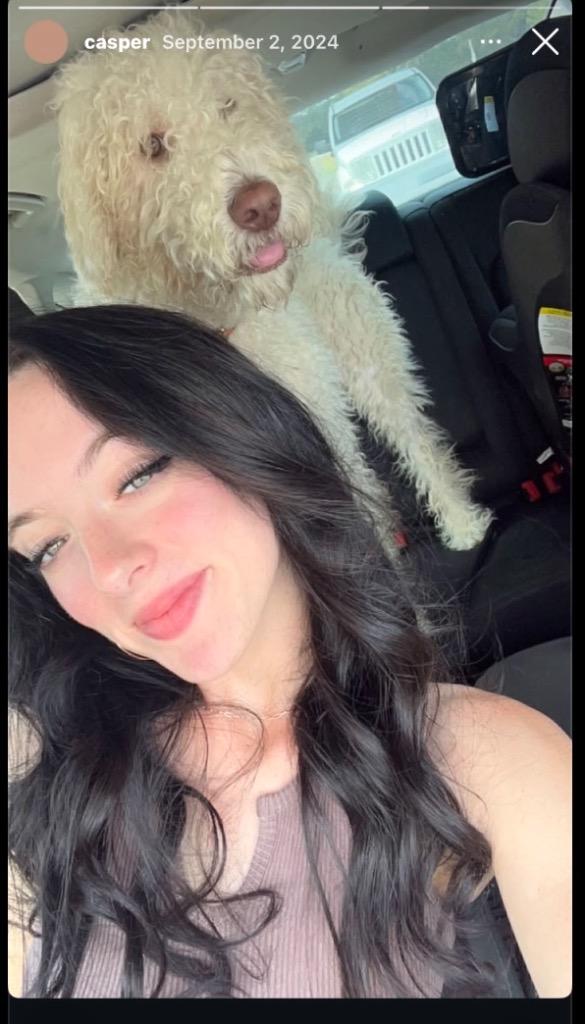 Enlarge Casper, a Adopted mixed breed in Crossville, TN image 5/6