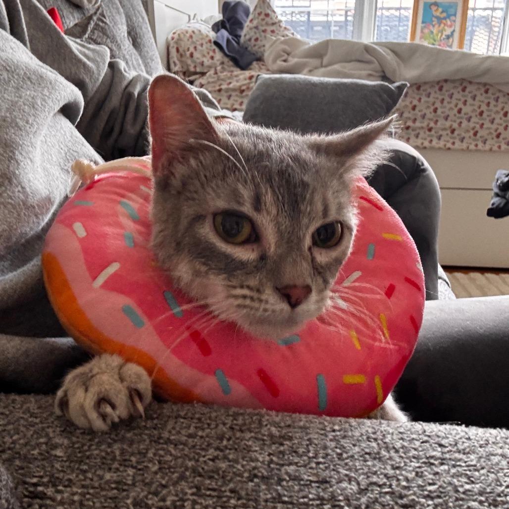 Rusty — thumbnail 2