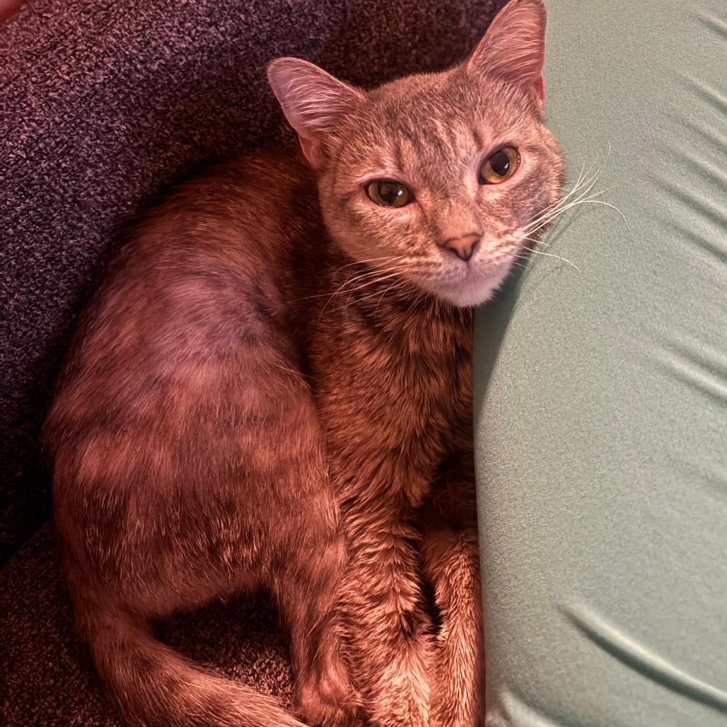 Rusty — thumbnail 6