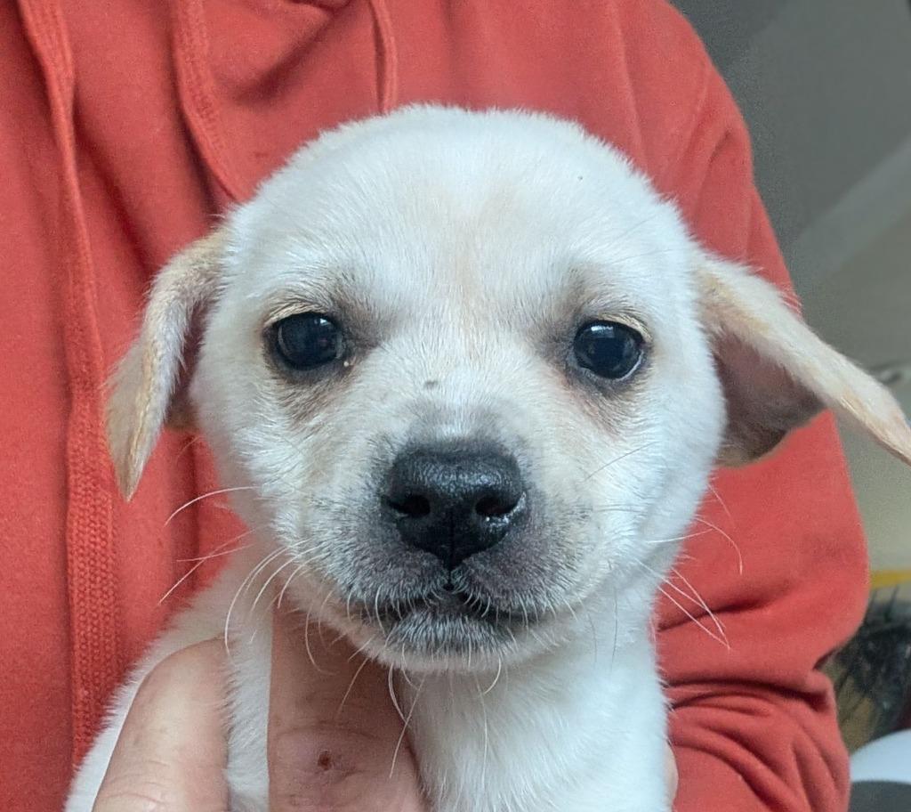 Gary The Snail thumbnail 2