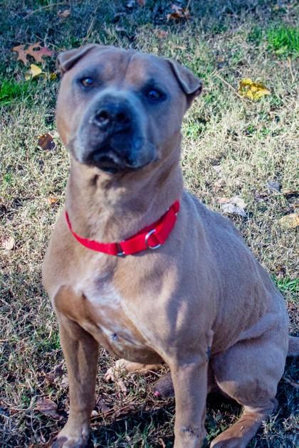 Hammy — thumbnail 2