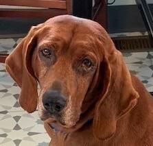 Penny Ruby Rose — thumbnail 2