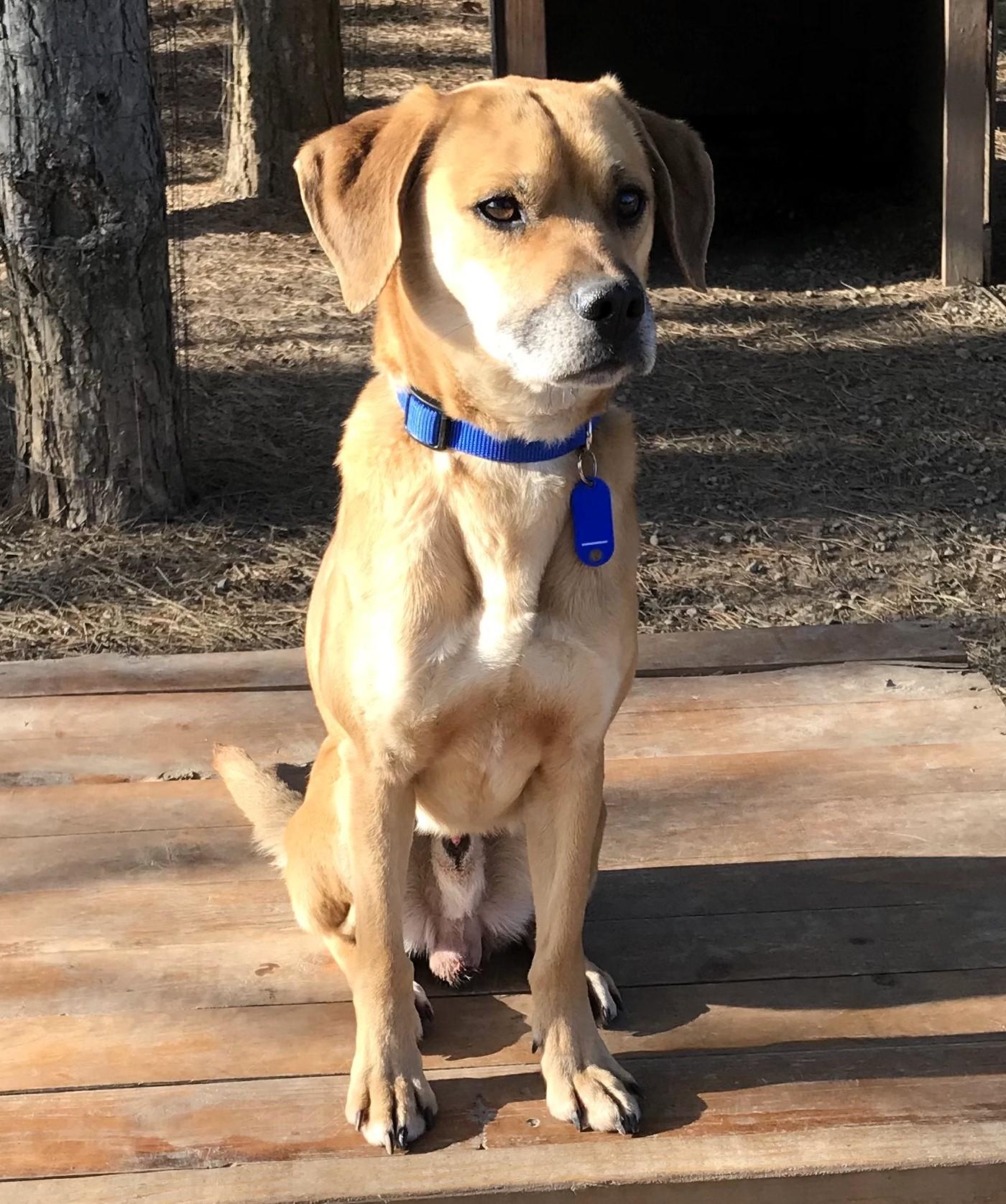 Baxter 3