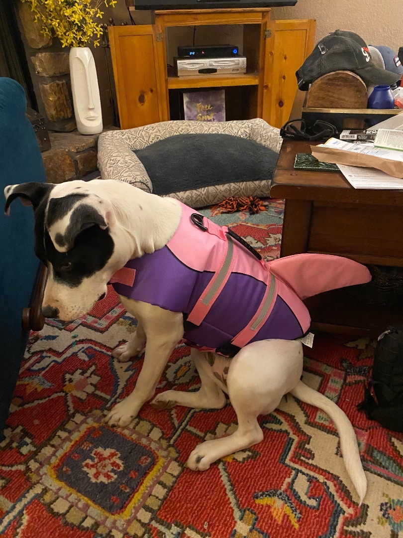 Trixie photo 5