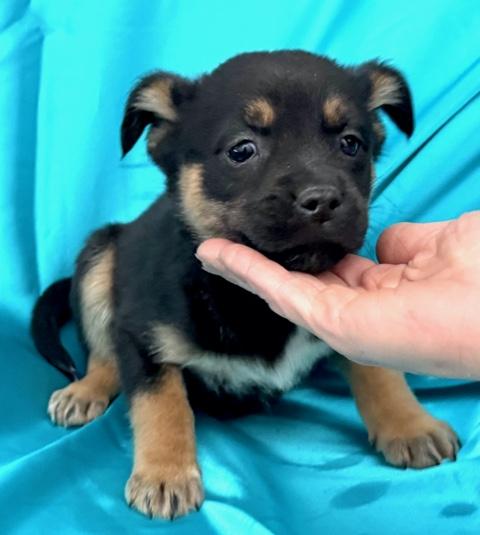 Heath Flora — thumbnail 2