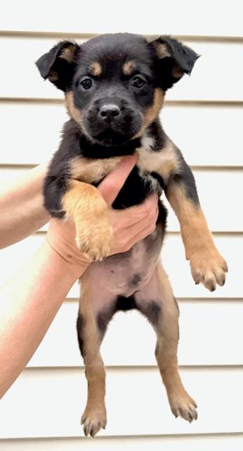 Heath Flora — thumbnail 3