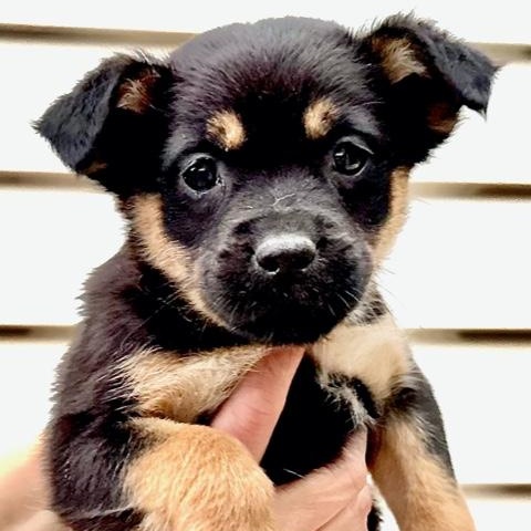 Heath Flora — thumbnail 5