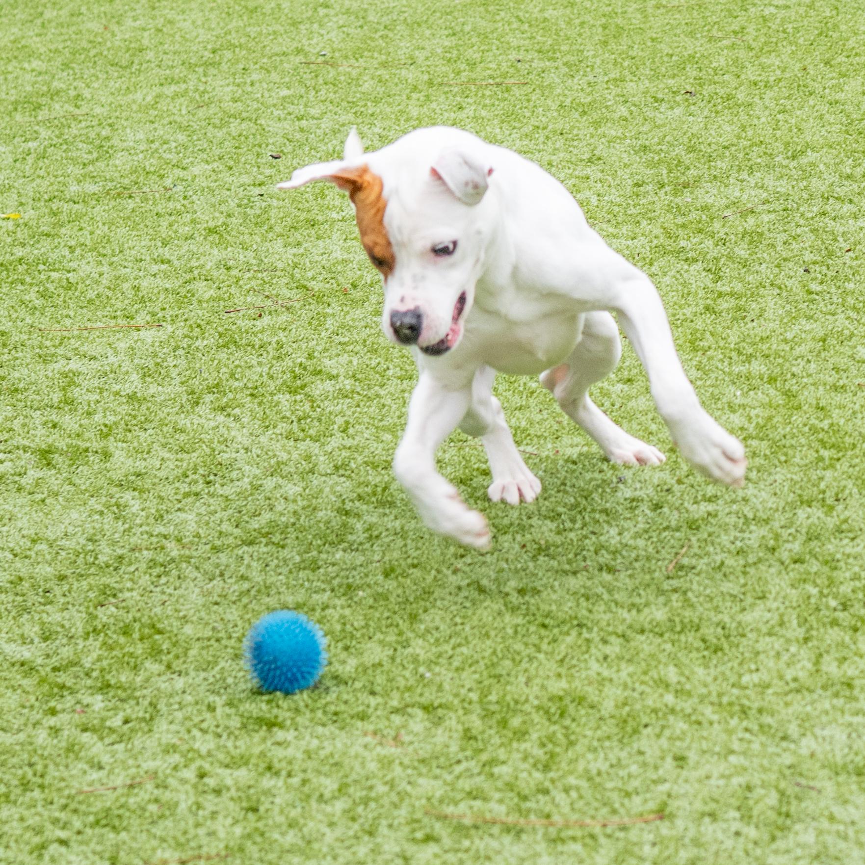 Yoder — thumbnail 3