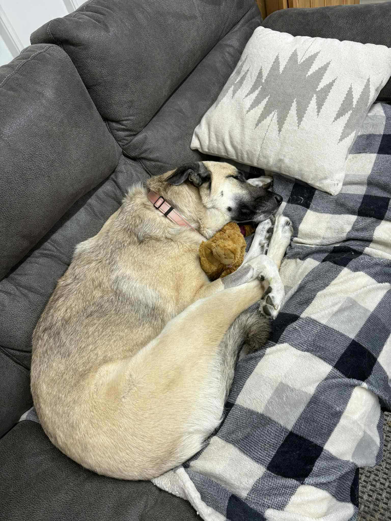 Nova Grace — thumbnail 2