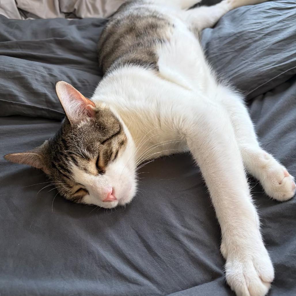 Goblin — thumbnail 4