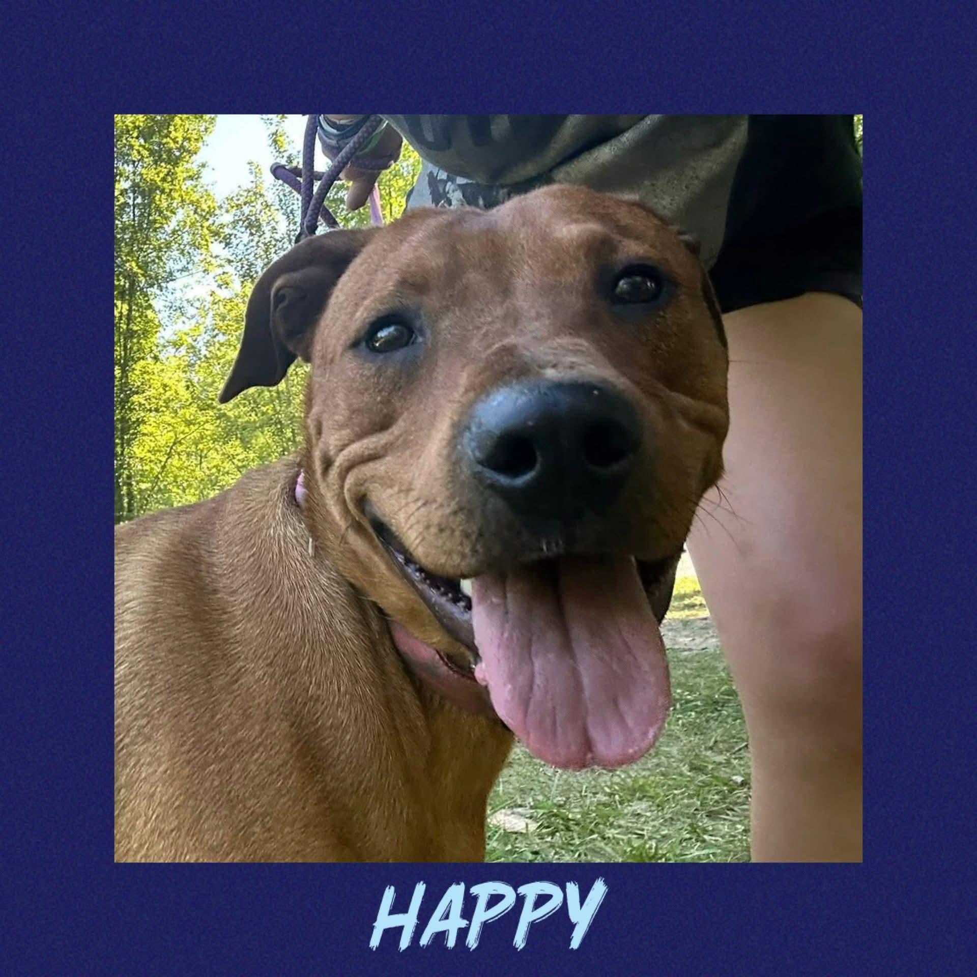 Happy