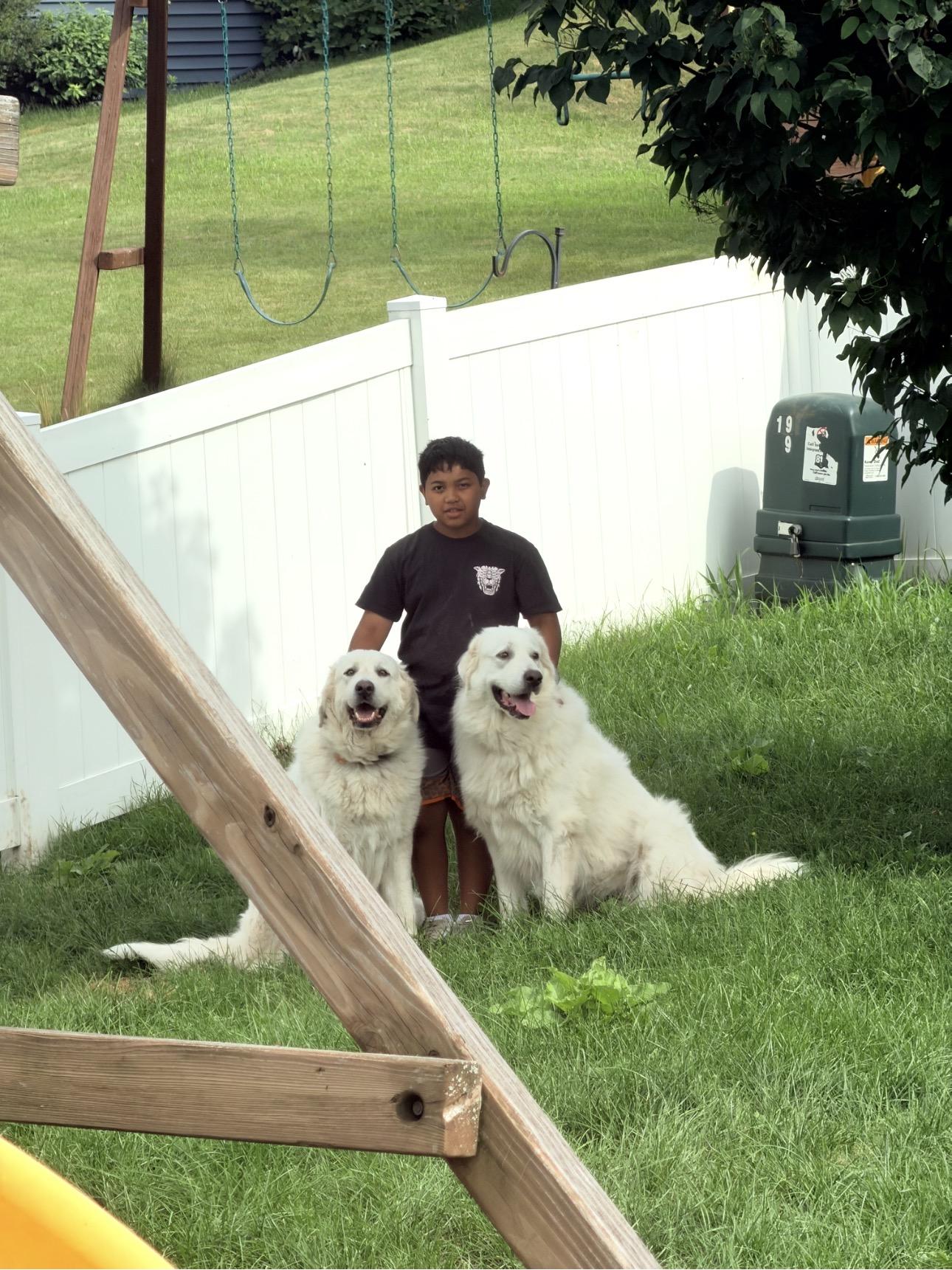 Enlarge Winter and Mara, a ADOPTABLE Great Pyrenees in Neshkoro, WI image 2/4