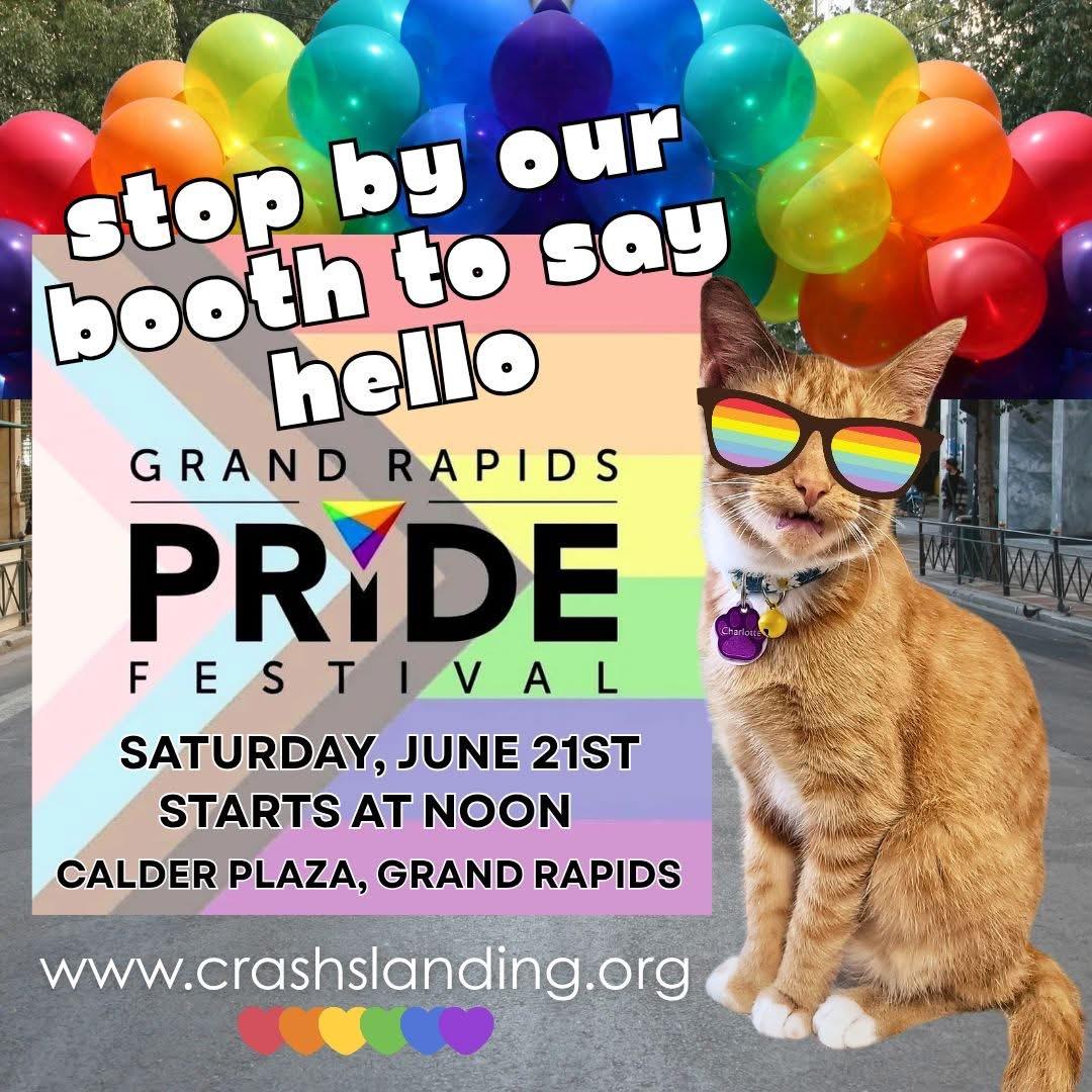 Charlotte Russe thumbnail 5