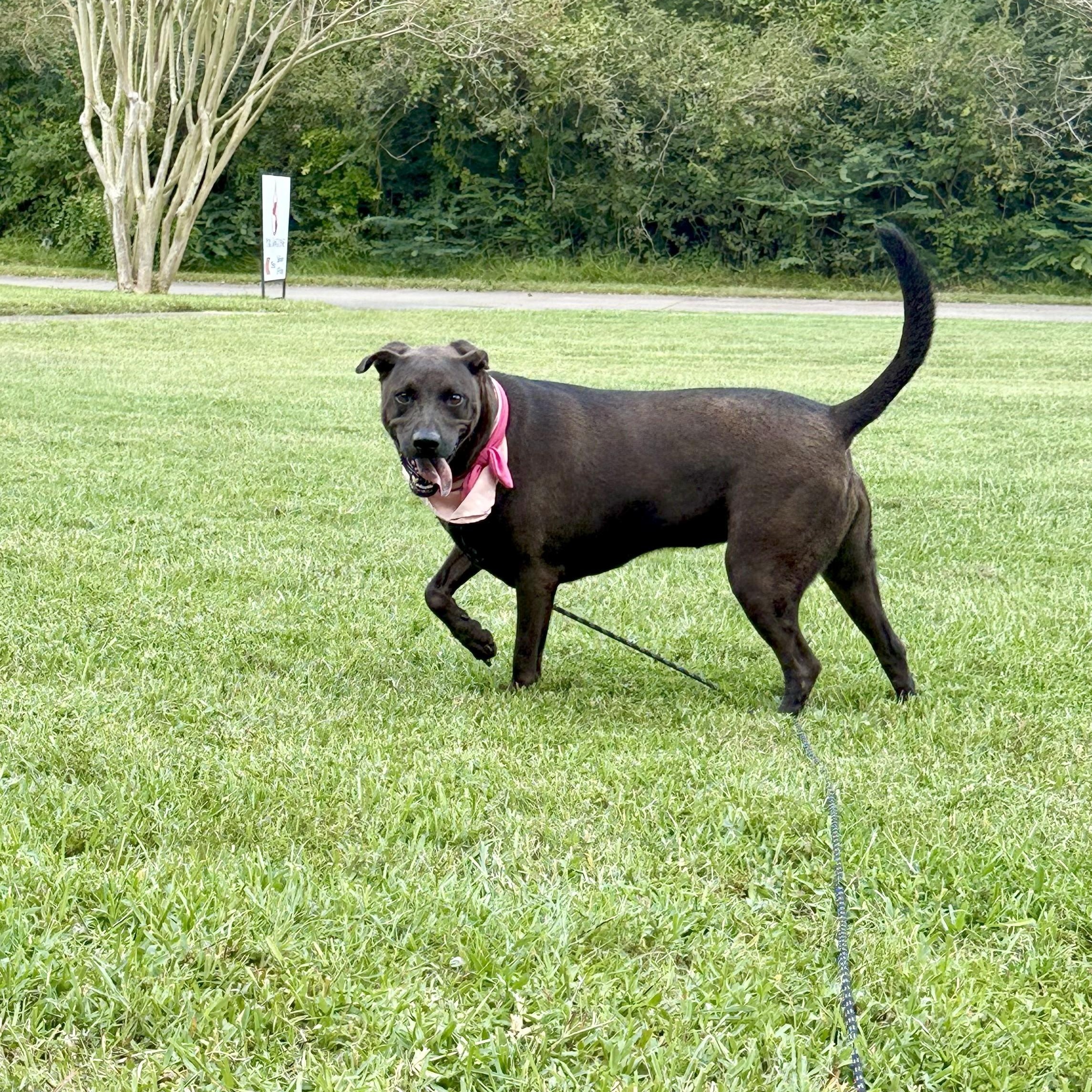 Carmen Coco Puff — thumbnail 6