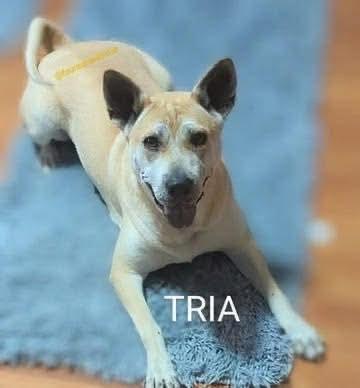 Tria (20260206-04) — thumbnail 4